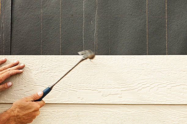 Best Custom Trim and Detailing for Siding  in Dale City, VA